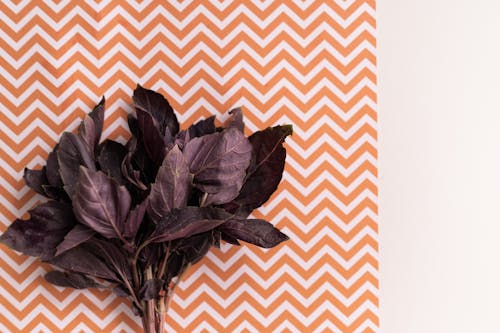 Top view of fresh bunch of red basil leaves with thin stem placed on patterned background
