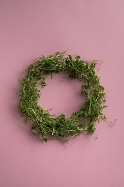 From above shot of wreath of fresh green leaves and grass placed on middle of pink background