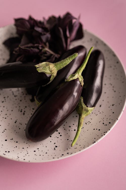 Kostenloses Stock Foto zu aubergine, basilikum, blatt