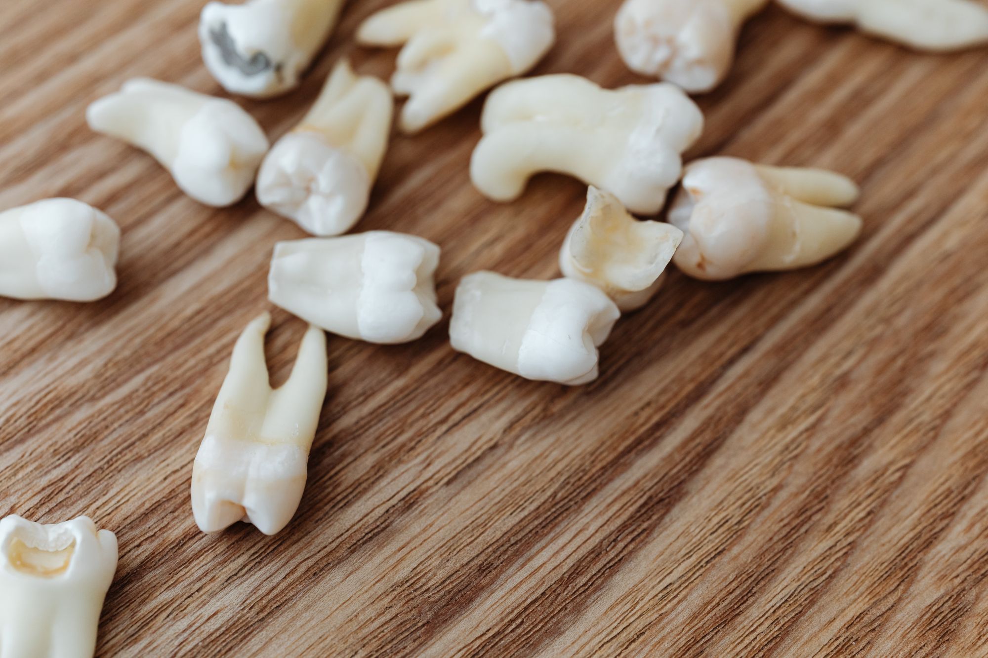 9 Surprising Facts About Homo naledi’s Ancient Sex Markers