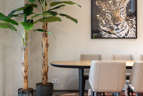 Contemporary boardroom with beige chairs and wooden table near potted plants on floor and picture of leopard on wall
