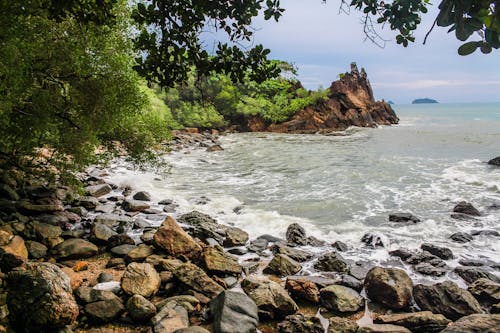 Landscape Photography of Sea Shore