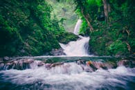 在菲律宾比科尔郁郁葱葱的绿色森林中，宁静的瀑布缓缓流淌，营造出一片宁静的自然景观