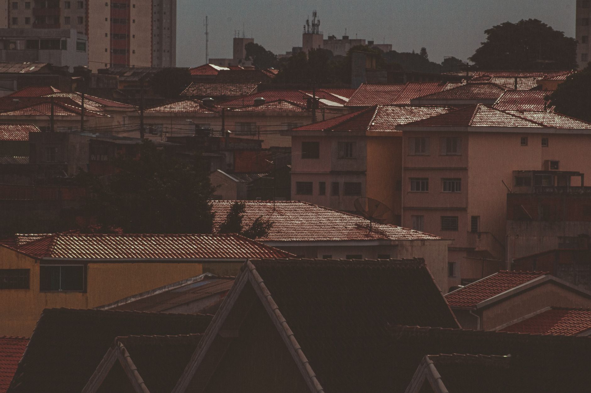 The Hidden Cost of DIY Roof Repair: A Case Study