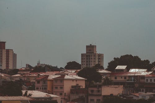 Fotos de stock gratuitas de arboles, cielo limpio, ciudad