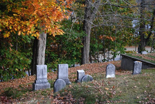 Free Tombstones on a Burial Ground Stock Photo