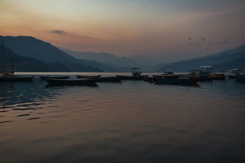 Free stock photo of boating, clear water, dawn Stock Photo