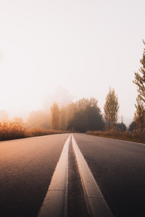 Free Captivating foggy road in Healesville, Australia, showcasing serene morning light and tranquil scenery. Stock Photo