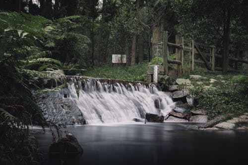 Free Waterfalls in the Forest Stock Photo