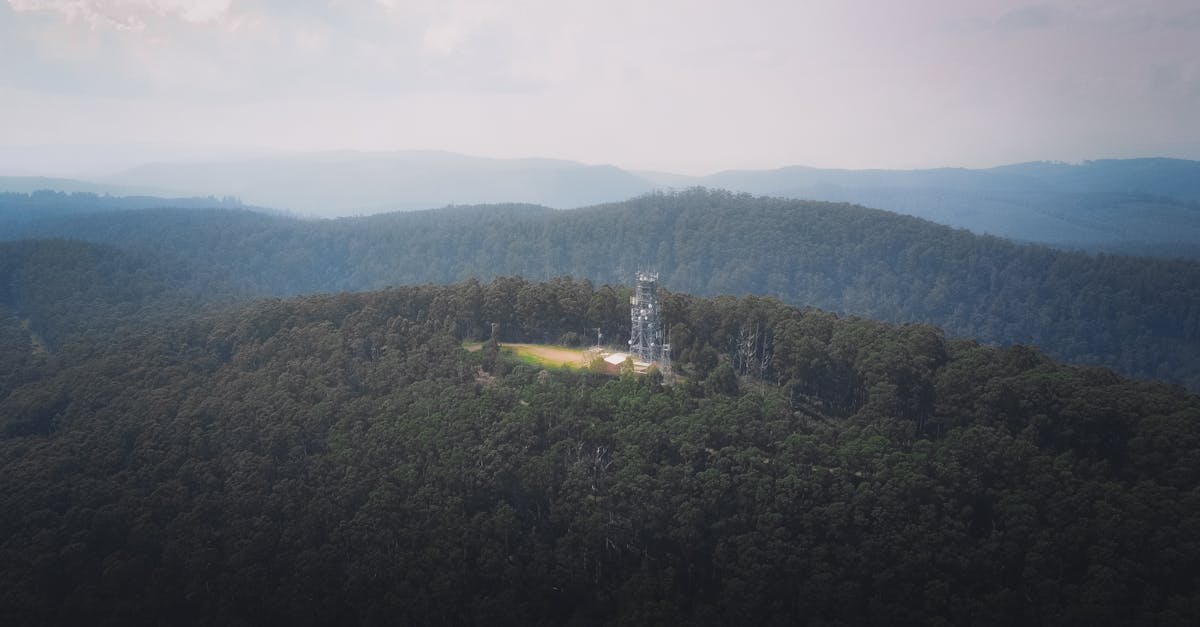 Serene aerial landscape of Toolangi Forest, showcasing a lone communication tower amid lush greenery.