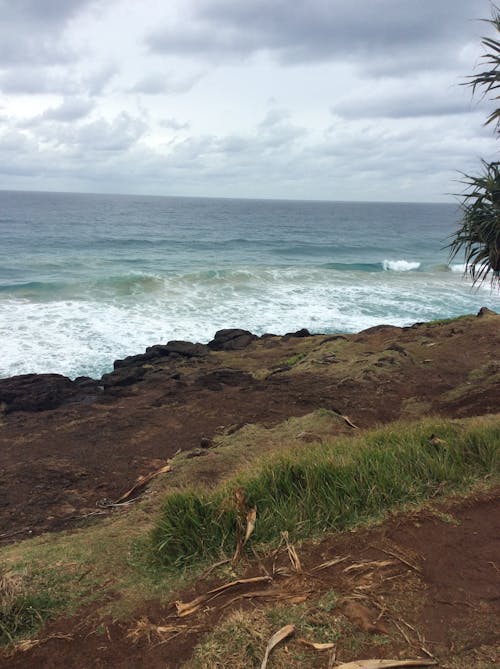 Free stock photo of fingal heads, south pacific ocean