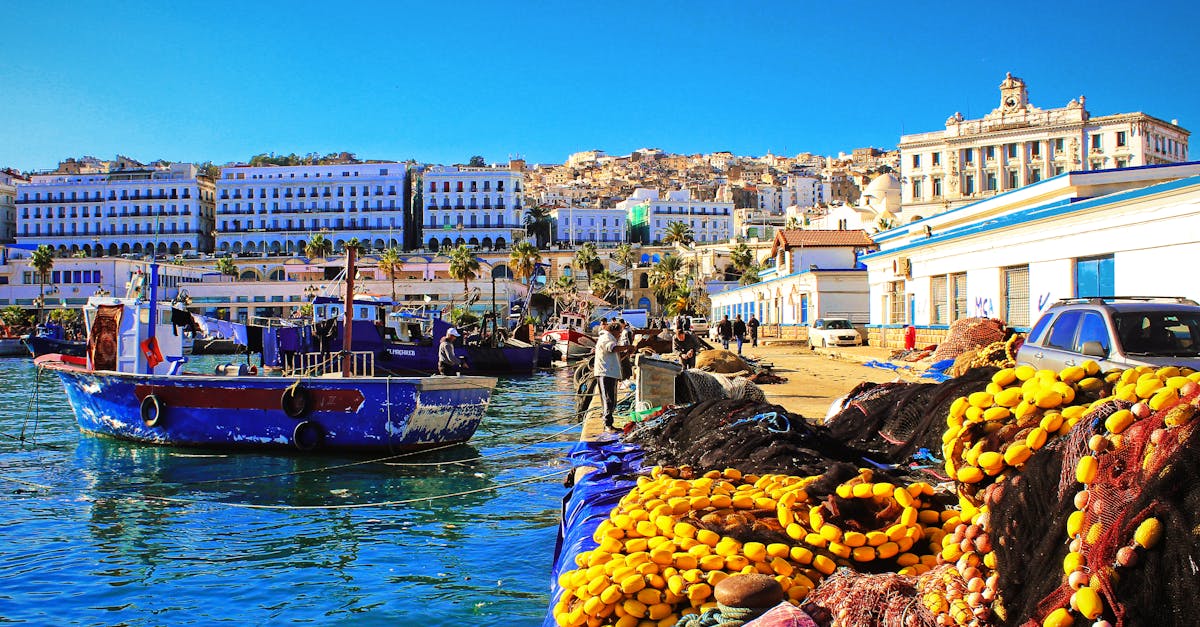 Sahara Odyssey: Algeria's Desert Wonders