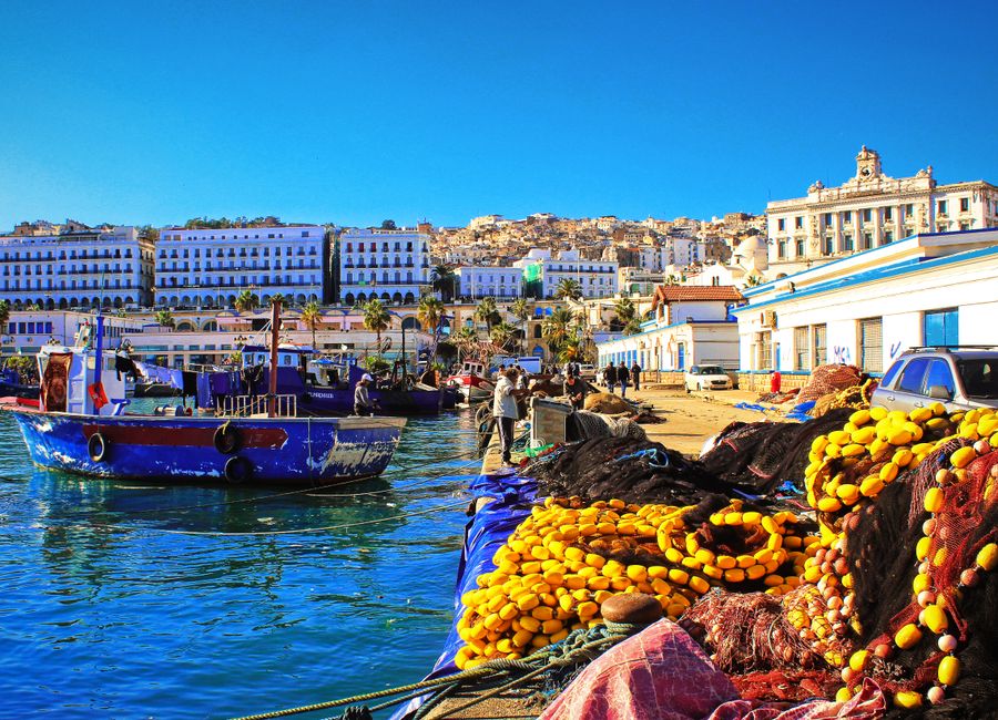 Vibrant day at the Casbah harbor with boats, fishing nets, and waterfront architecture.