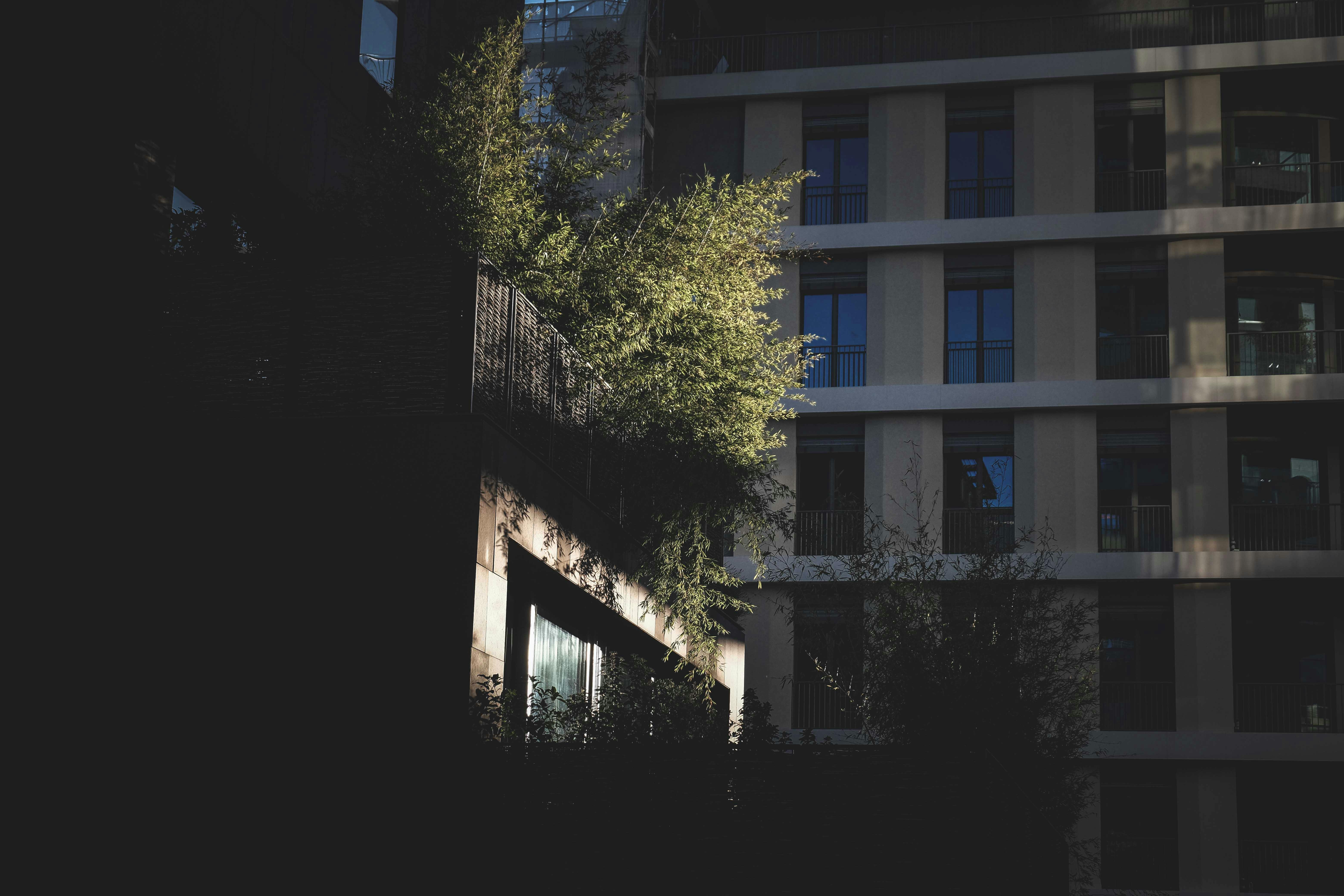 ## Green and Sustainable Investments