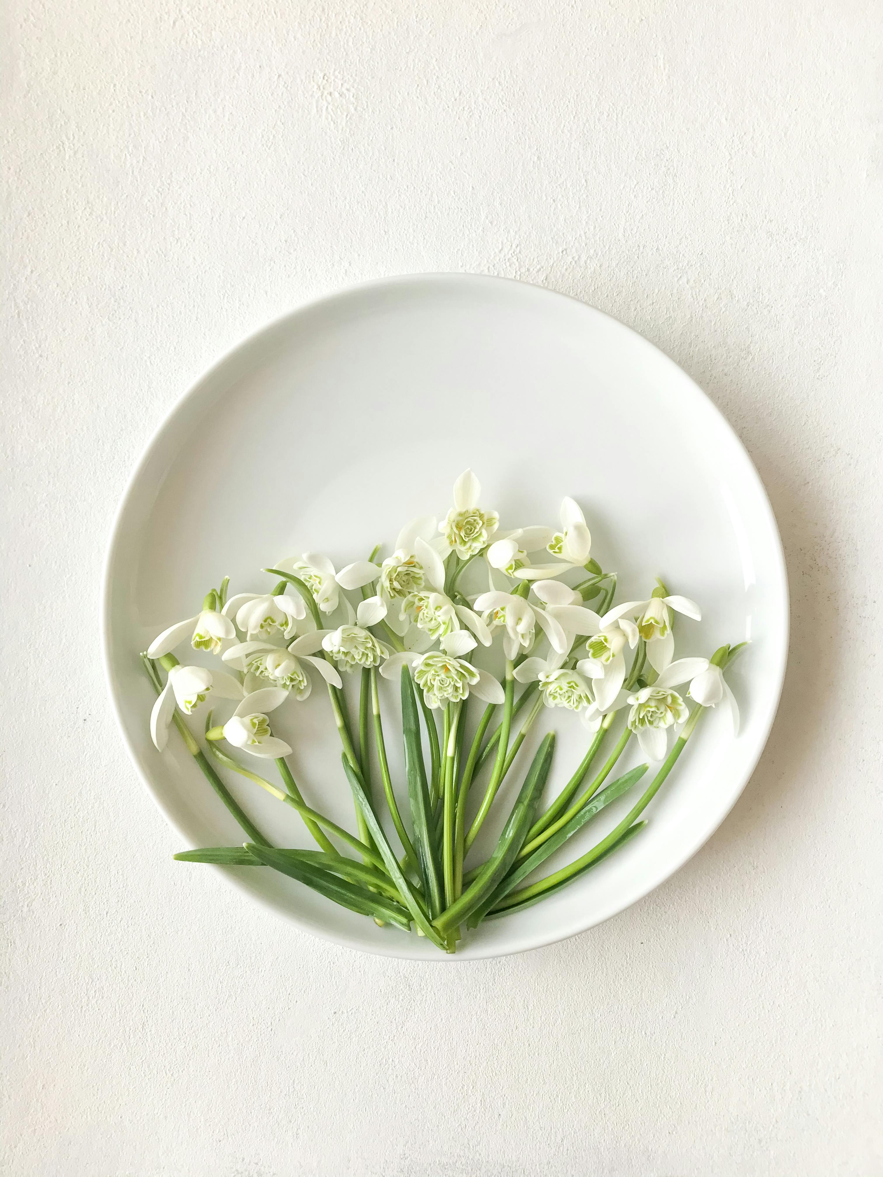 From above of gentle small snowdrop flowers arranged on white ceramic plate on table in sunlight