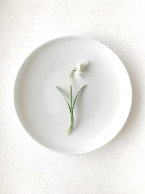 Gentle Galanthus nivalis flower on white ceramic plate
