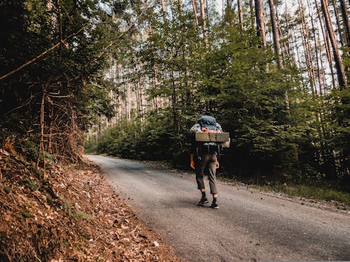 Person Carrying a Backpack Walking in the Forest Trail
