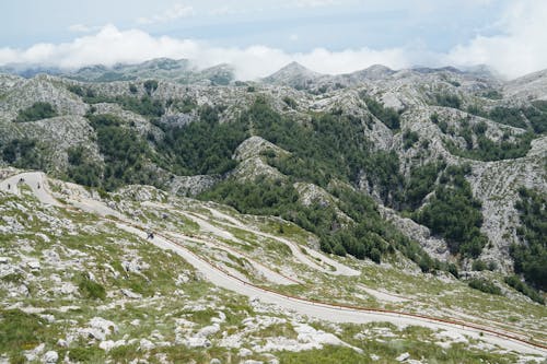 A Green Trees on Mountains Under the White Clouds