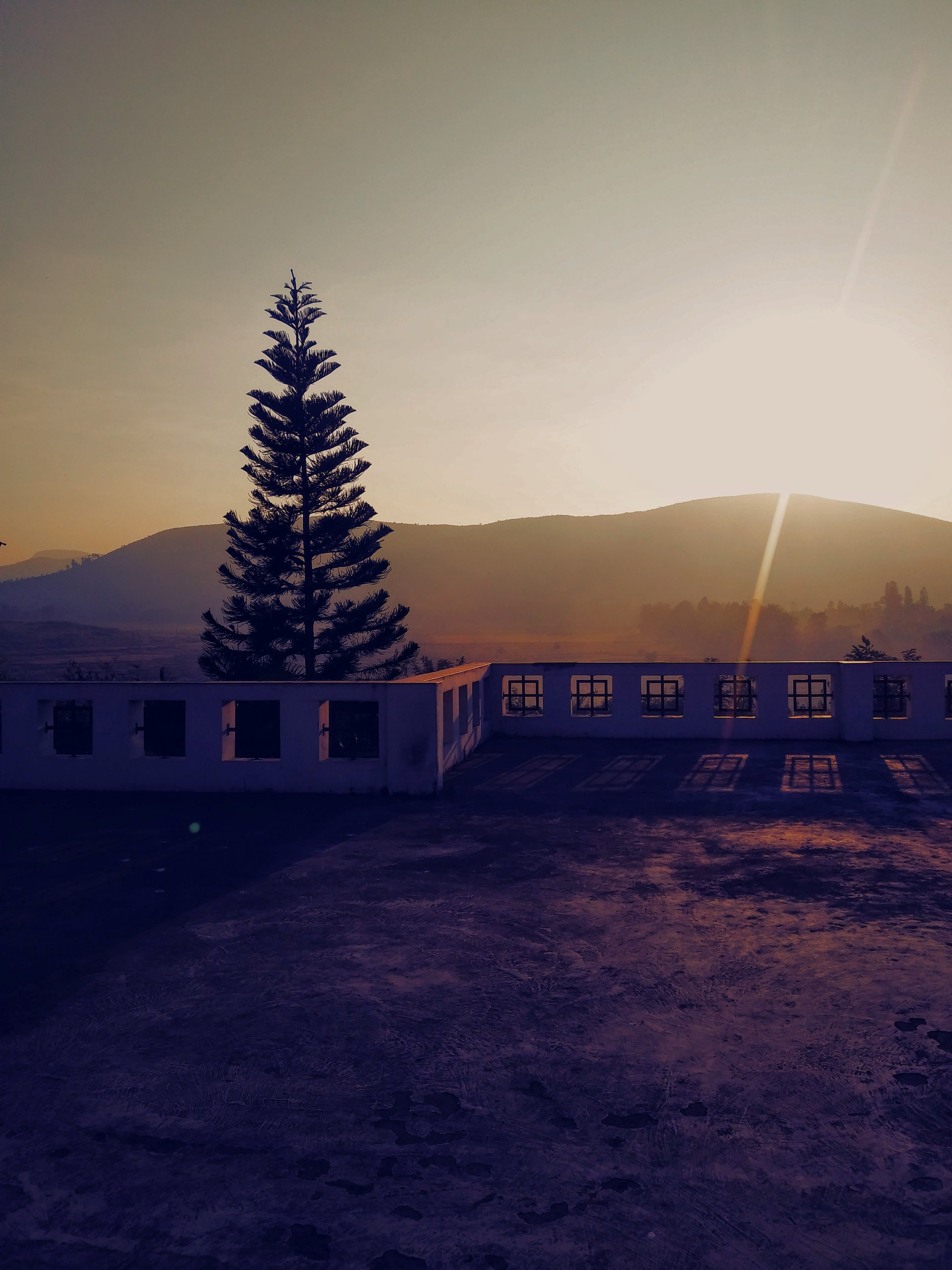 Tranquil evening view of Araku Valley with a lone tree and soft sunrays at sunset.
