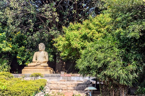 Estatua De Buda Gautama En Japón