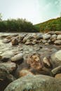 River with Rocks and Trees