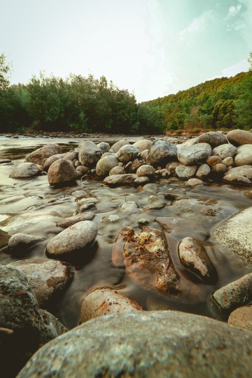 Free A serene view of a rocky riverbed with smoothly flowing water surrounded by lush greenery. Stock Photo