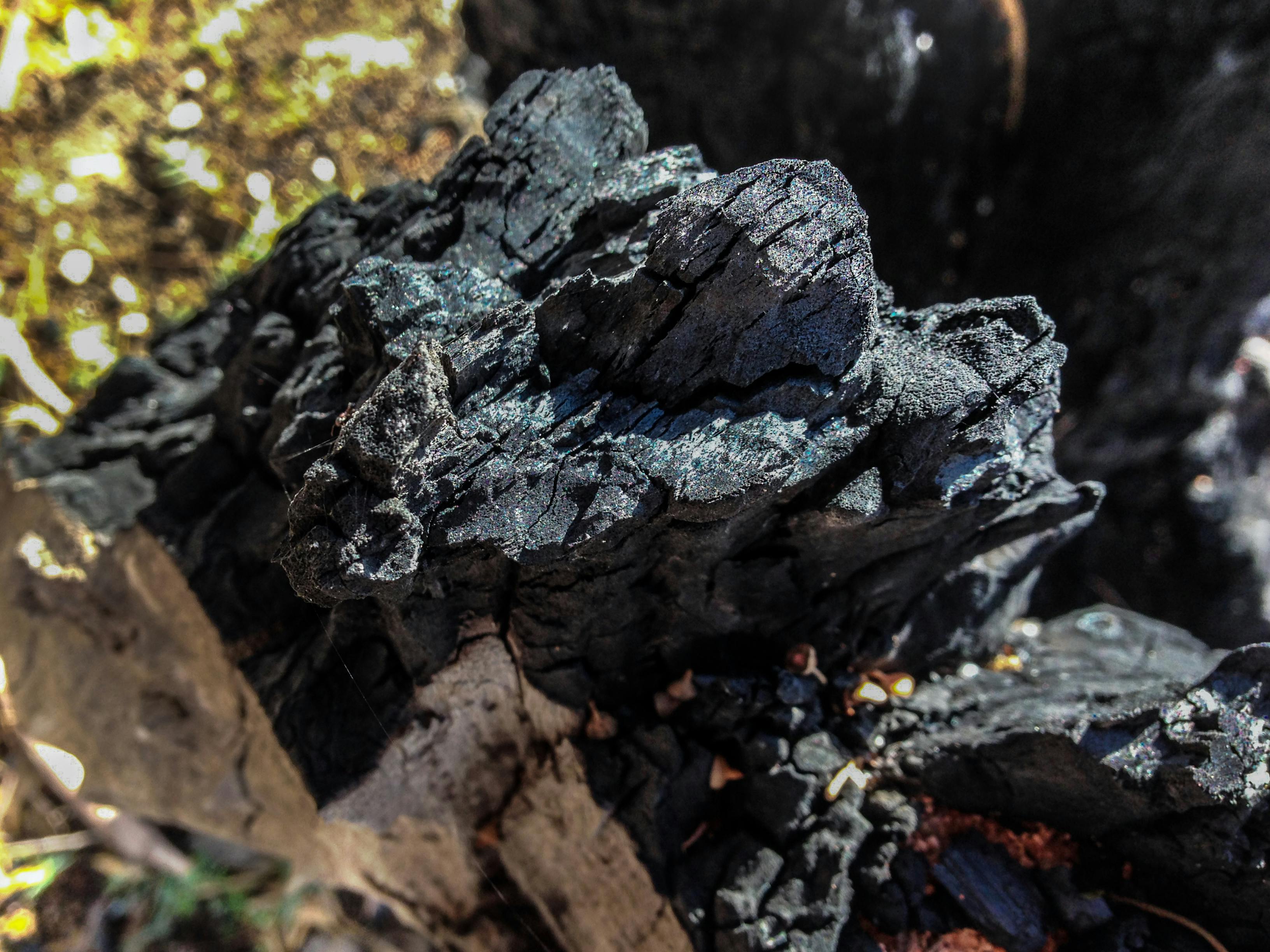 A group of people enjoying a cruise vacation.