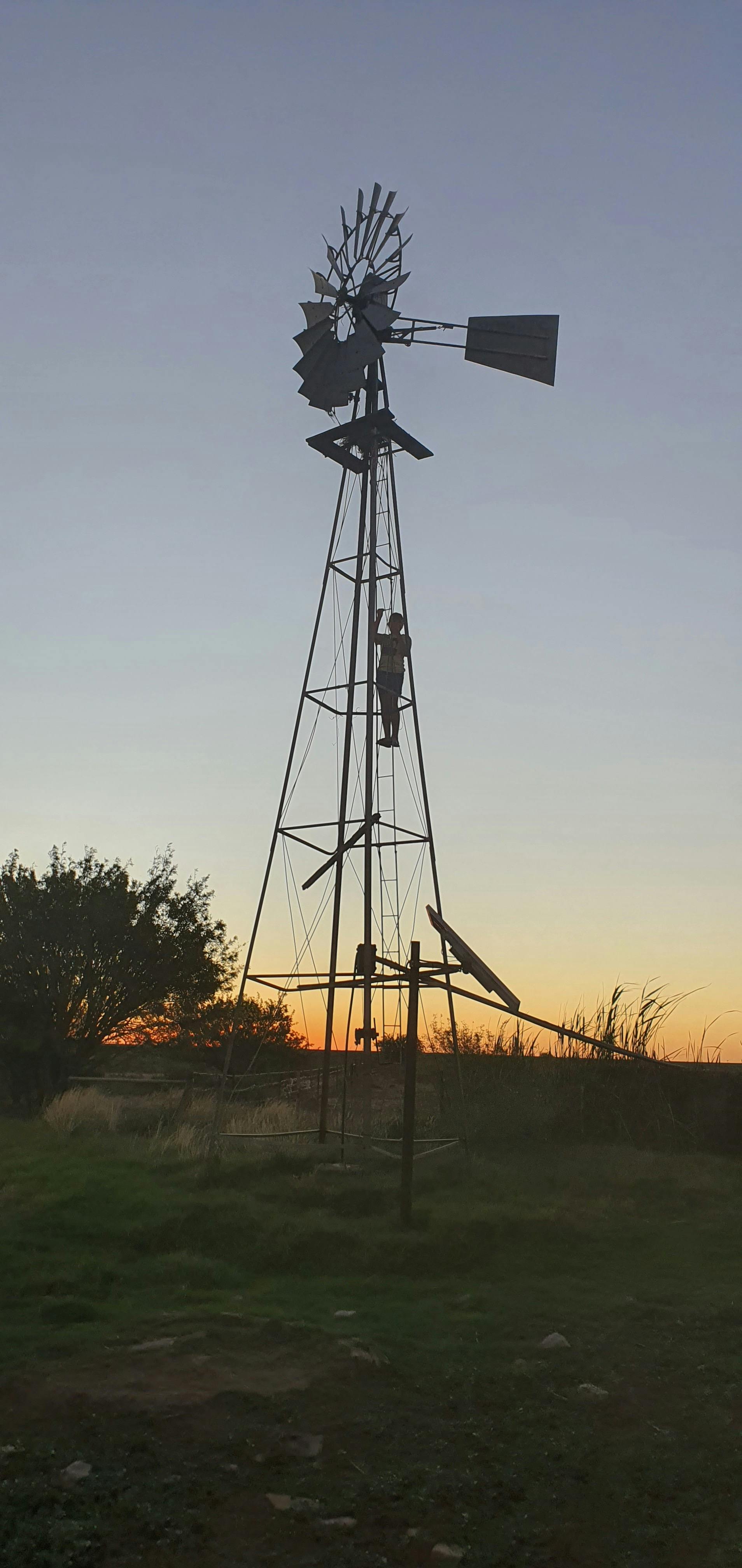 A father and child walking together symbolizing family and legacy