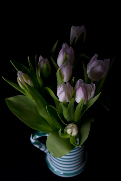 Flowers on Ceramic Vase