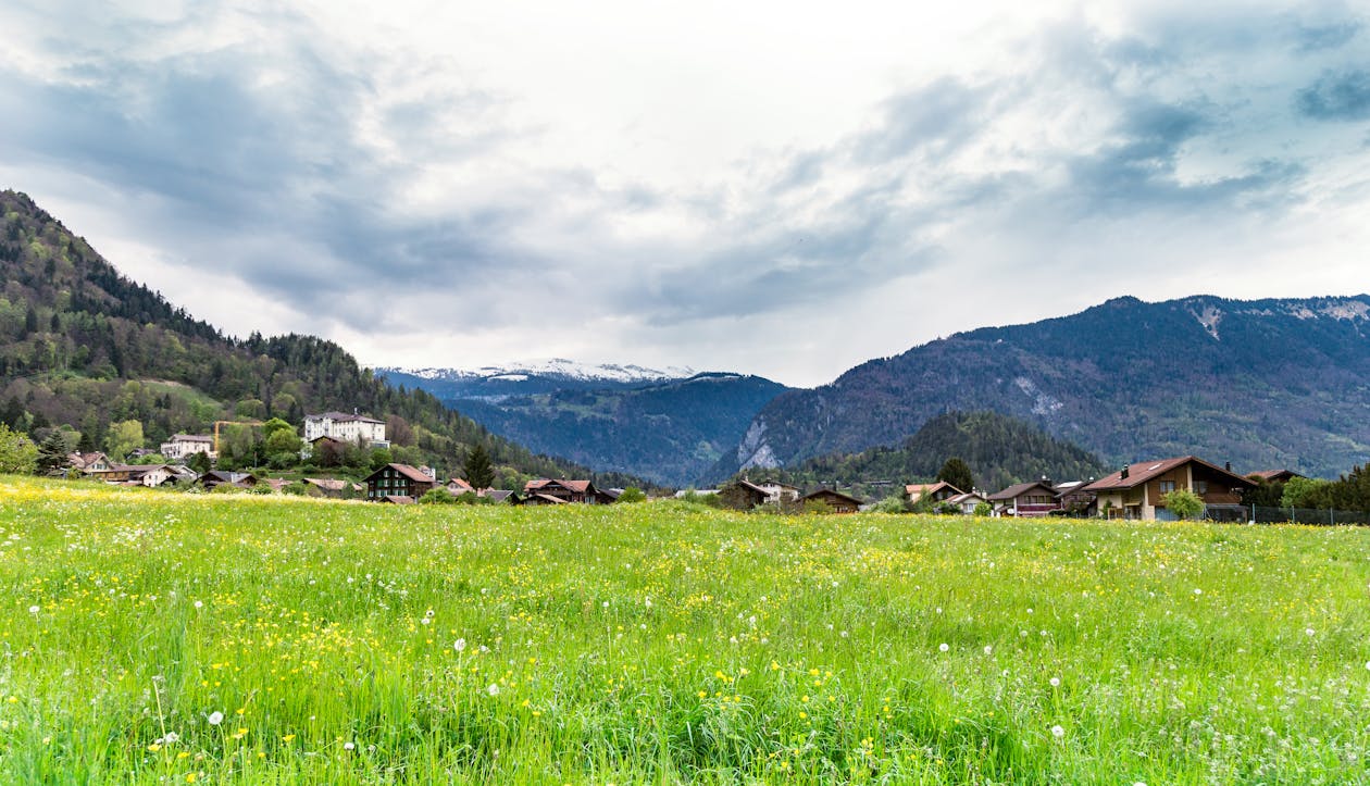 Campo De Hierba Verde Y Montaña Bajo Nubes Blancas