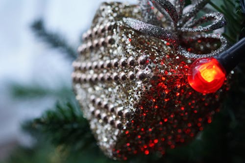 Free Closeup Photography of Grey Bauble Stock Photo