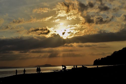 Free stock photo of beach, evening sun, nature photography