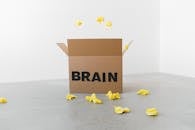 Crumpled yellow paper pieces on floor near carton box with Brain title on white background