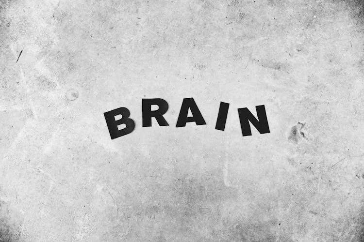 Background Of Brain Inscription On Rugged Wall