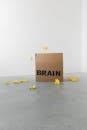 Brain inscription on cardboard container under flying paper pieces representing trash attracted by mind on white background