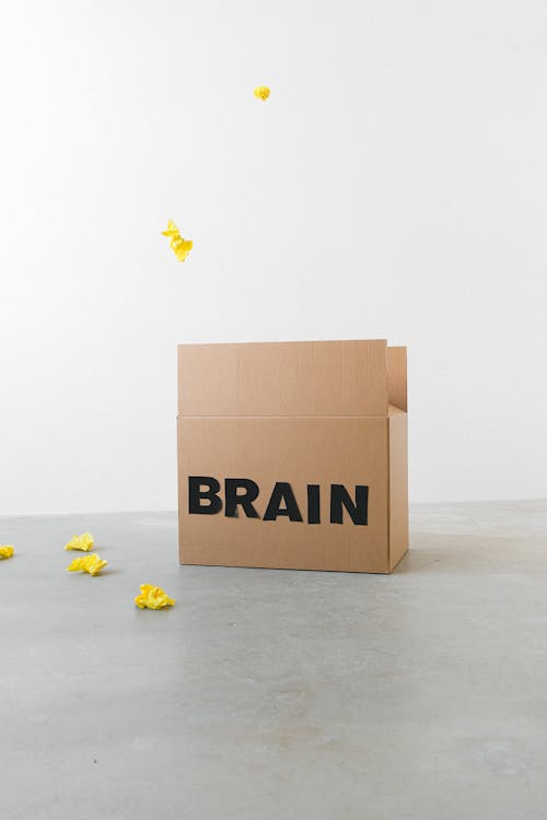 Brain inscription on box under flying paper pieces