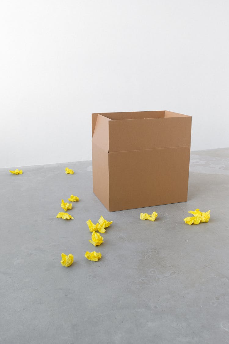 Cardboard Box And Crumpled Paper Pieces On Floor