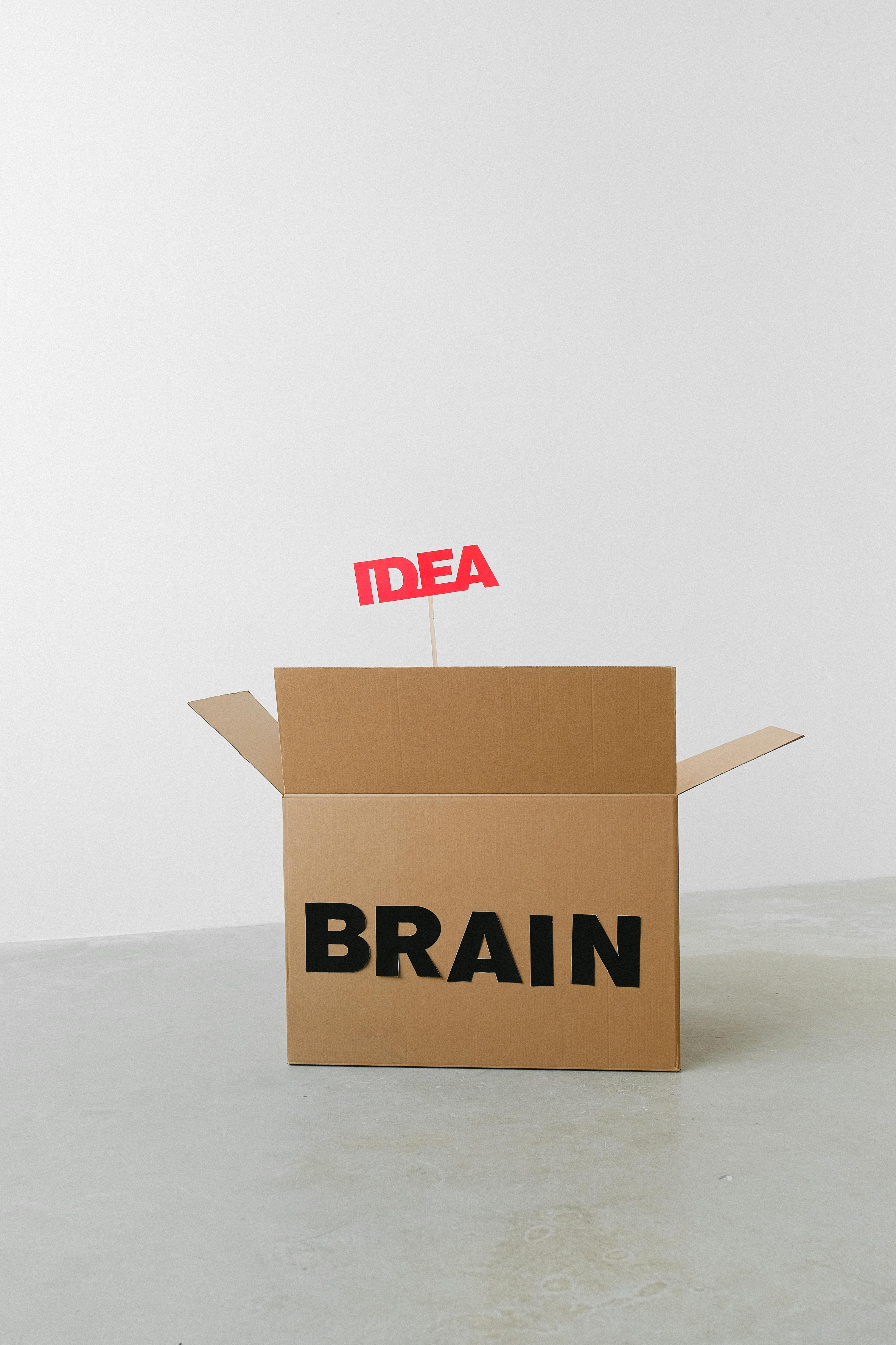cardboard box with brain and idea inscriptions