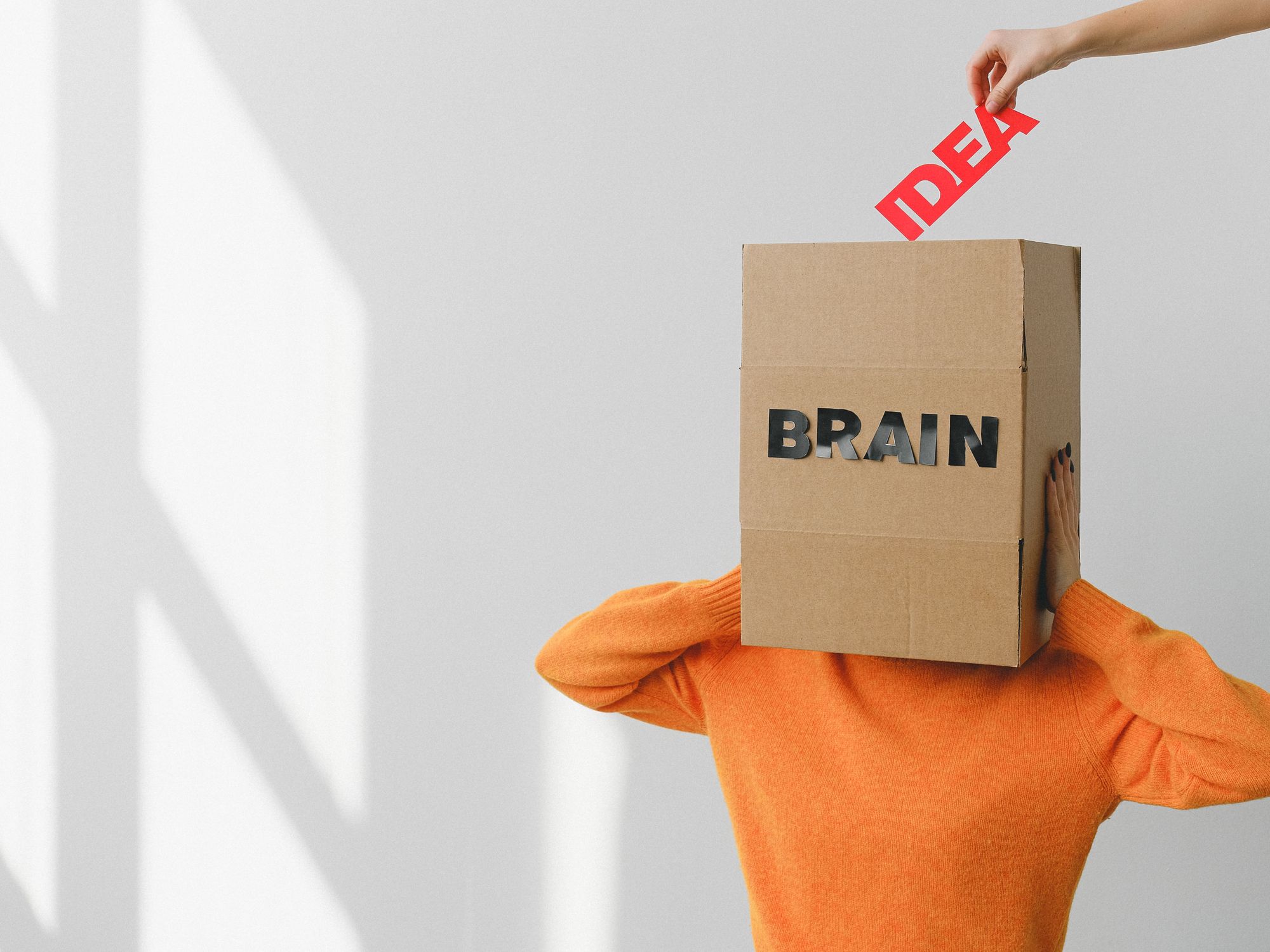 Packing & Materials in Dalry, Scotland — professional packers wrapping and boxing belongings