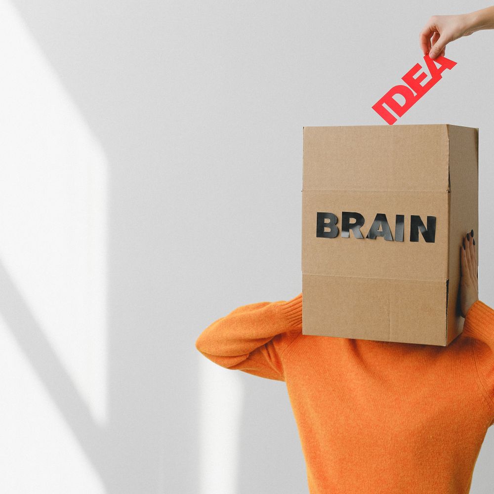 Annan — professional packers wrapping and boxing belongings