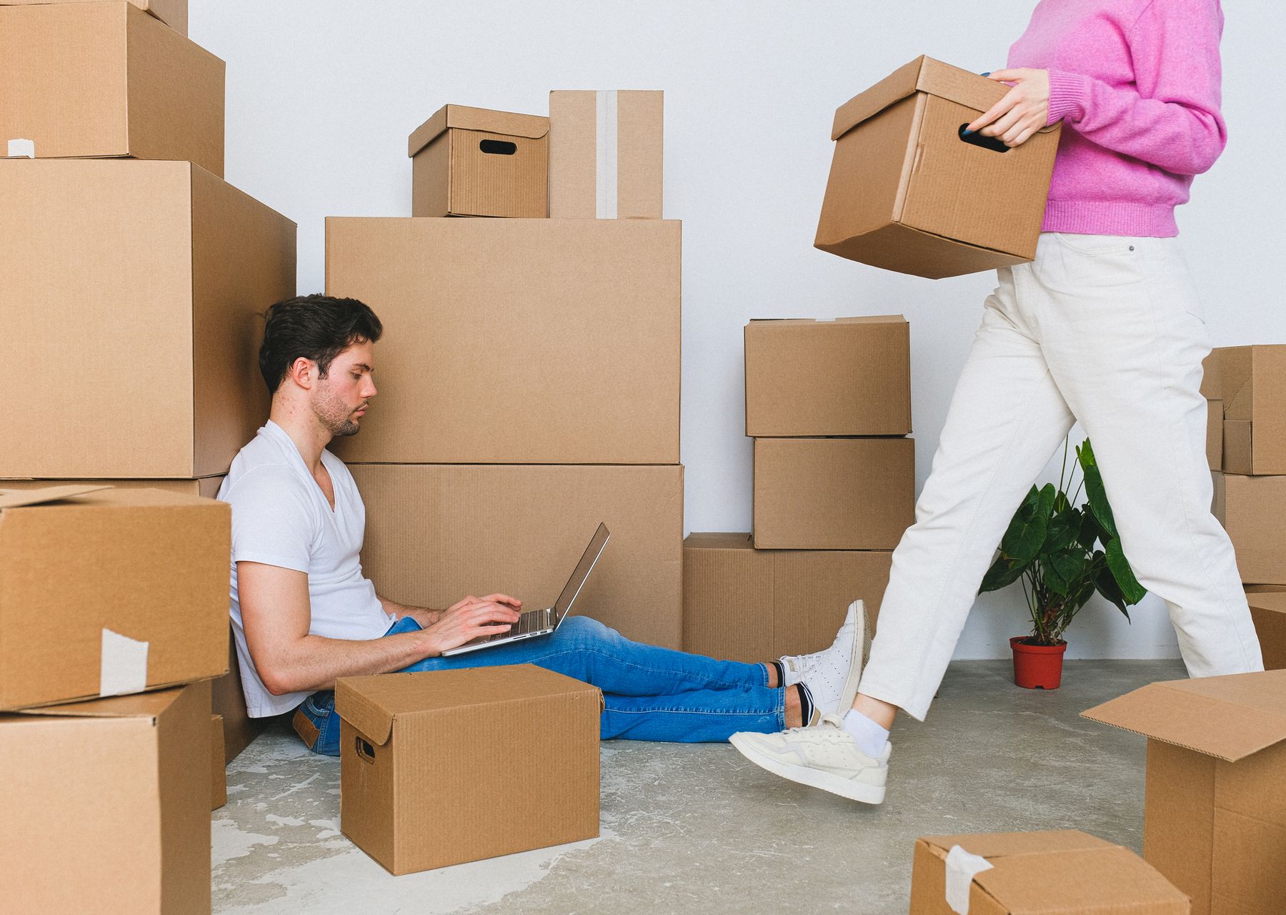 Same-day removals van loading — packing services in Wickham