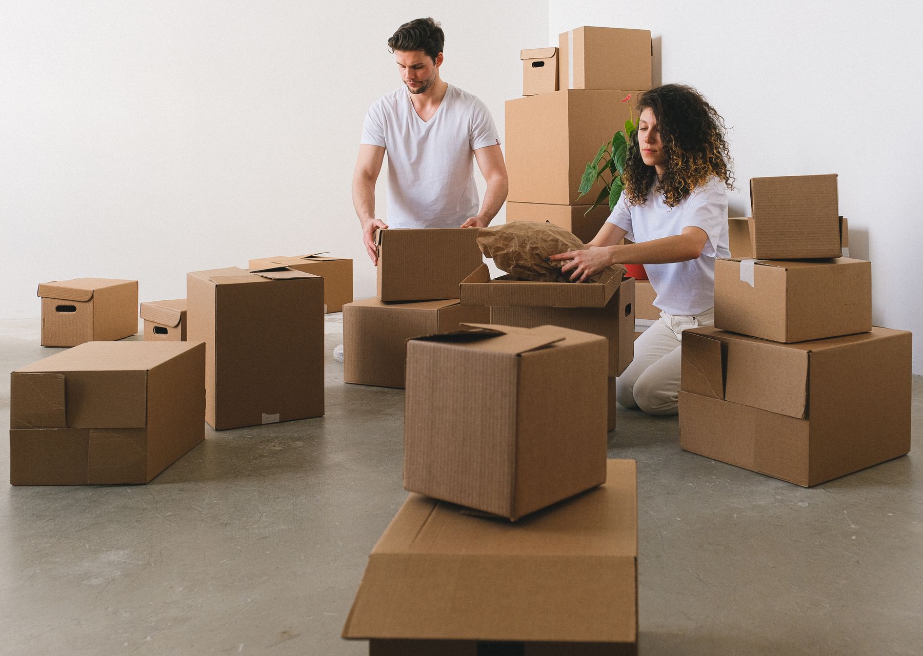 Professional removals crew at work — house removals Highgate