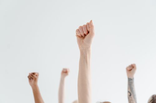 Free Hands raised in a gesture of strength and solidarity against a white background. Stock Photo