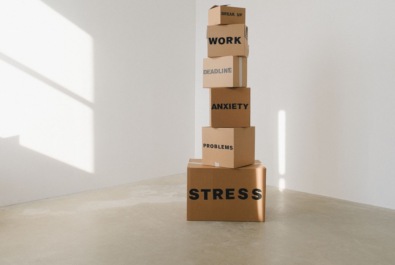 Packing services Hackney Downs — removals work in progress