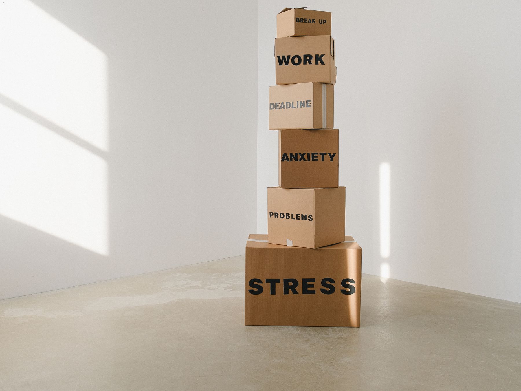 Halvergate — professional packers wrapping and boxing belongings