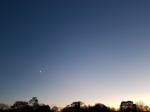 Free stock photo of blue, calm, chilly