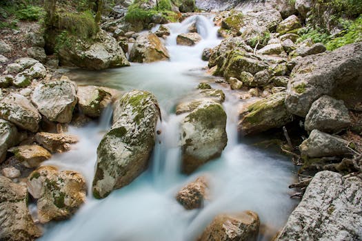 Tranquil mountain stream cascading over mossy rocks in a lush forest setting.