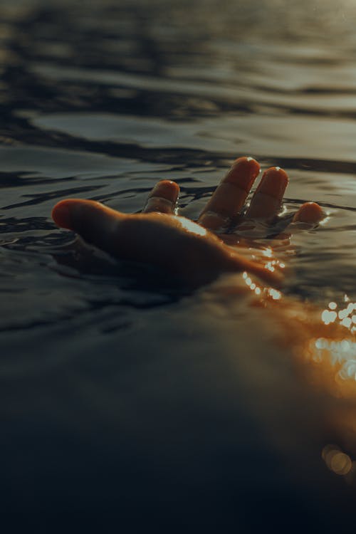Free Anonymous person in clear water Stock Photo