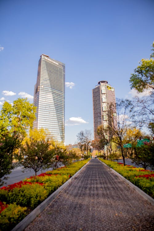 Fotos de stock gratuitas de calle, ciudad, Gran ciudad