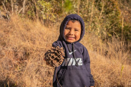 Fotos de stock gratuitas de chaval, niños